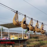 7 Wisata di Poncokusumo Kabupaten Malang yang Patut Dikunjungi di Tahun 2025