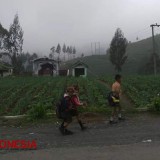 Cerita di Balik Pembatalan Lima Hari Sekolah di Kabupaten Probolinggo