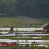 Wacana PLTS Terapung di Bendungan Karangkates, Apakah Diperbolehkan Regulasi?