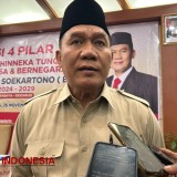 BHS: Ketiadaan Crane Bongkar Muat Penyebab Pelabuhan Patimban Mangkrak