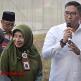 Wamentan Sebut Skema Filial Atasi Gudang Bulog Penuh